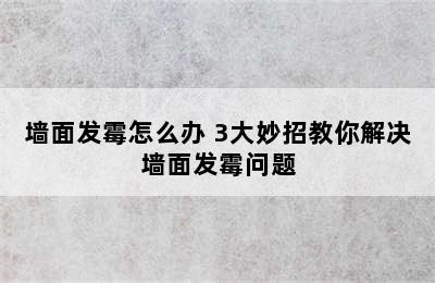 墙面发霉怎么办 3大妙招教你解决墙面发霉问题